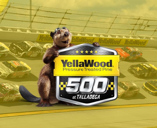 The YellaWood 500 is taking over Talladega again on October&nbsp;6th!